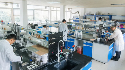 環保技術創新引領未來，嘉寶莉家具漆榮獲“2020中國家居優秀企業巡禮榮譽企業”稱號